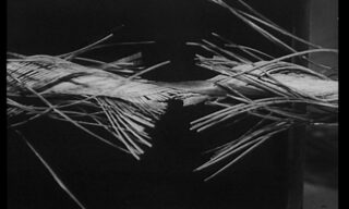 A close-up black-and-white photo shows a thick cable snapping under tension, with fibers splaying out in different directions at the breaking point.